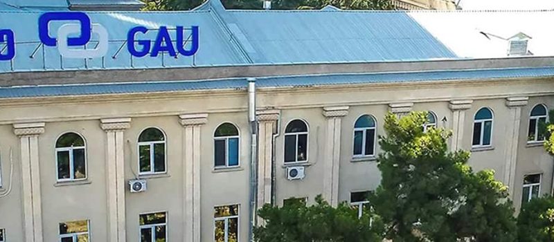 Georgian American University, Georgia